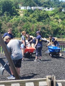 New Mountaineers volunteer to help keep Star City beautiful